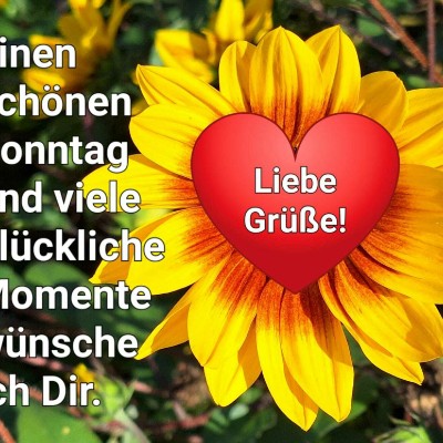 👒💍👜Midnight 🌙⭐💫 Tom  🇪🇺🇧🇪🇬🇧 post image