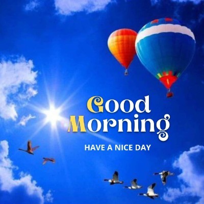 777 Tom  🇪🇺🇧🇪🇬🇧 post image