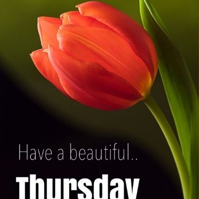 777 Tom  🇪🇺🇧🇪🇬🇧 post image