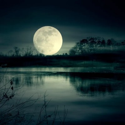 💙💚MOONLIGHT💚💙 Tom 🇪🇺🇧🇪🇬🇧 post image