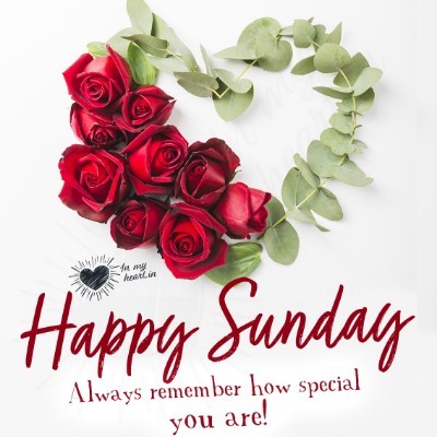 ❤️🖤Hazbin Hotel🖤❤️ Tom 🇪🇺🇧🇪🇬🇧 post image