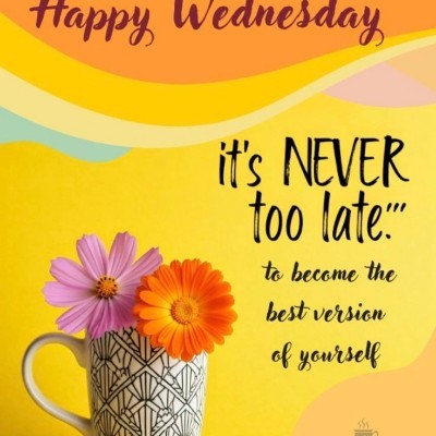 I ❤️ My Pets Tom 🇪🇺🇧🇪🇬🇧 post image