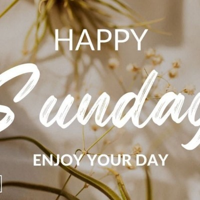 WE ARE AMAZING HUMANS 👍 Tom 🇪🇺🇧🇪🇬🇧 post image