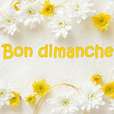 Les Poêtes  💙🤍❤️ Tom  🇪🇺🇧🇪🇬🇧 post image