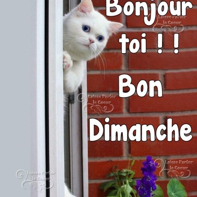 🇧🇪 BELGIUM 🖤💛❤️ Tom  🇪🇺🇧🇪🇬🇧 post image