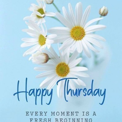 New Friends of Tom 🌼🌞 Tom  🇪🇺🇧🇪🇬🇧 post image