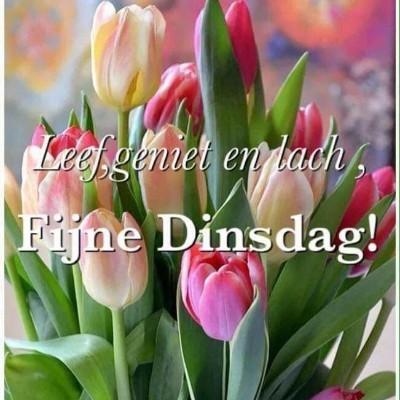 New Friends of Tom 🌼🌞 Tom  🇪🇺🇧🇪🇬🇧 post image