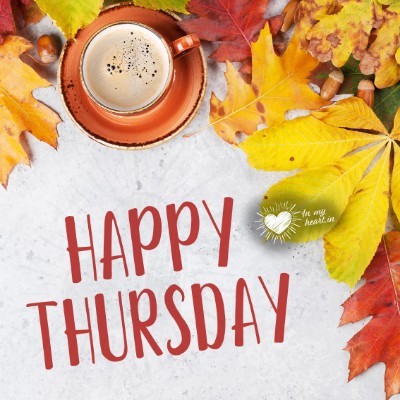 Camden Hall 🏣 Tom  🇪🇺🇧🇪🇬🇧 post image