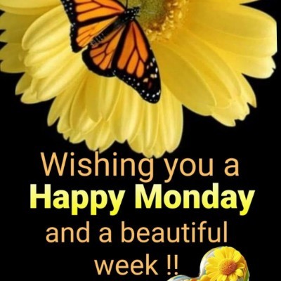 South African 🇿🇦  Steppers Tom  🇪🇺🇧🇪🇬🇧 post image