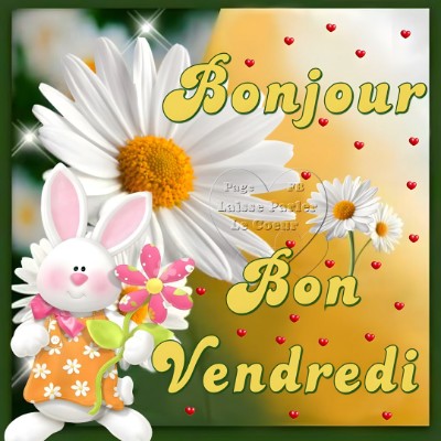 🇧🇪 BELGIUM 🖤💛❤️ Tom  🇪🇺🇧🇪🇬🇧 post image