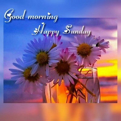 The Friendship Factory  🤗😃 Tom  🇪🇺🇧🇪🇬🇧 post image