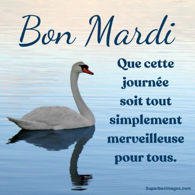 🇨🇦 Québec 🇨🇦 Tom  🇪🇺🇧🇪🇬🇧 post image