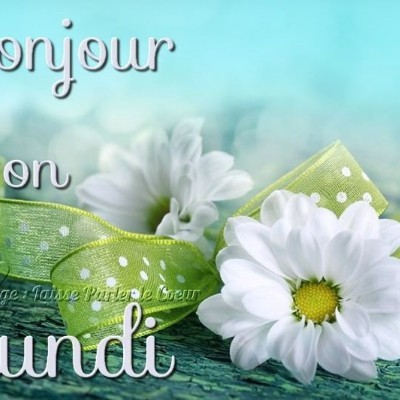 Les Bretons 🇨🇵 Tom  🇪🇺🇧🇪🇬🇧 post image