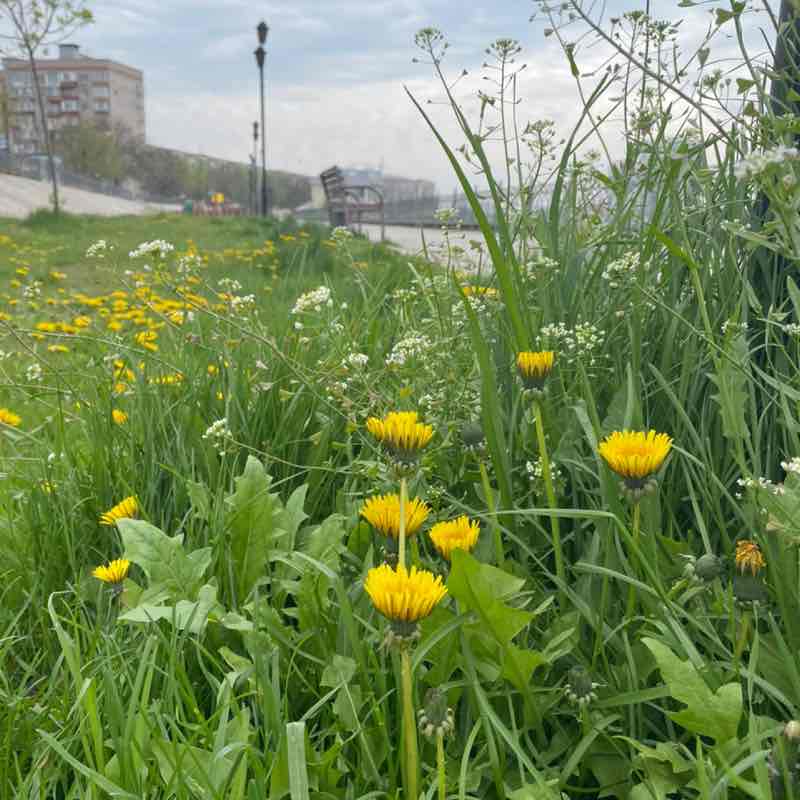 Anzhelika 🏃‍♀️ 🚴‍♀️ 🏊‍♀️ post 2