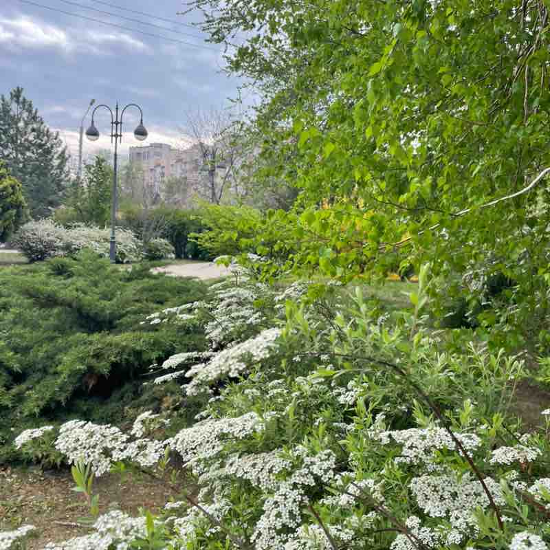 Anzhelika 🏃‍♀️ 🚴‍♀️ 🏊‍♀️ post 3