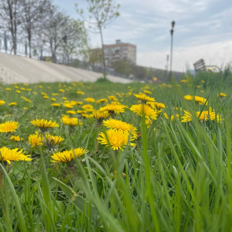 Anzhelika 🏃‍♀️ 🚴‍♀️ 🏊‍♀️ post 1