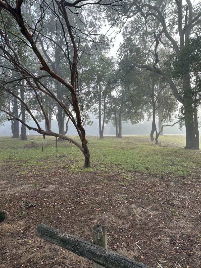 walking near me in Yellagonga Regional Park in winter