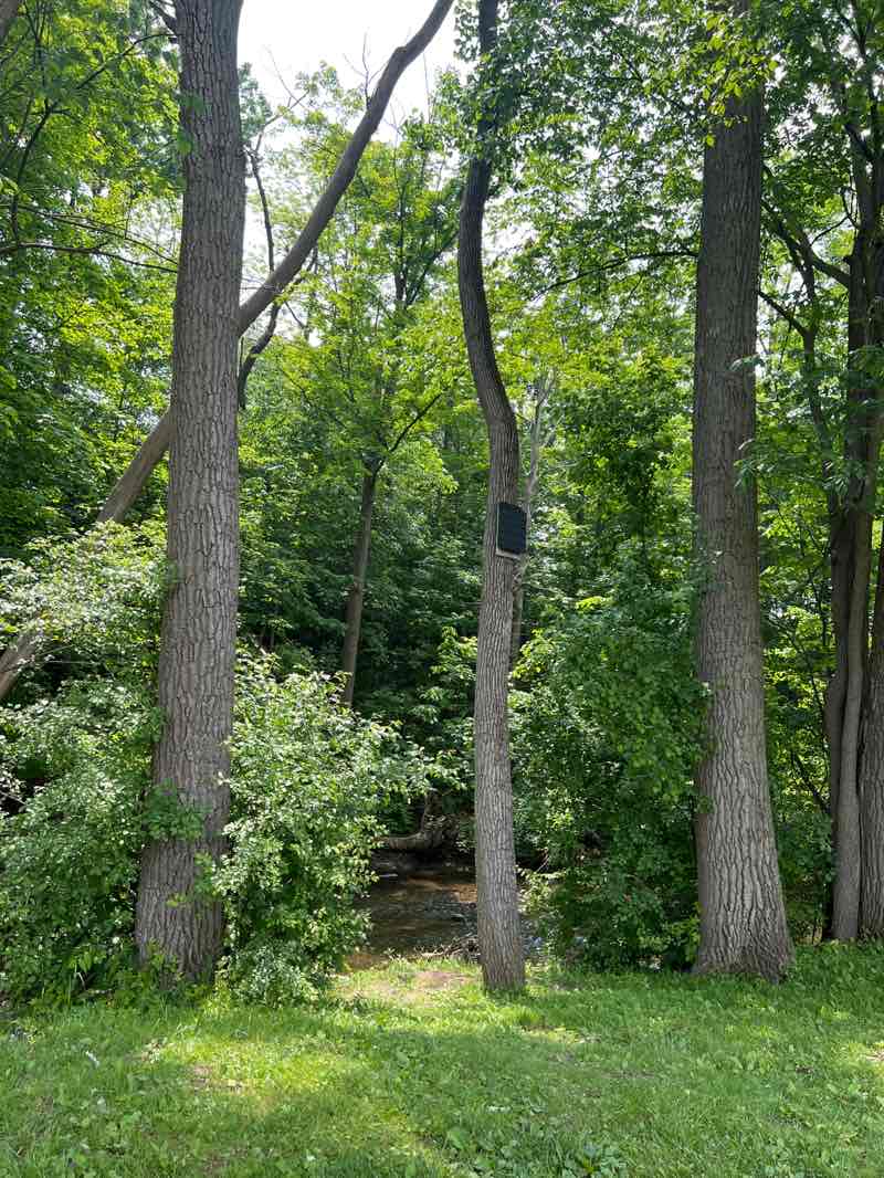 walking near me in Shiawassee Park in summer