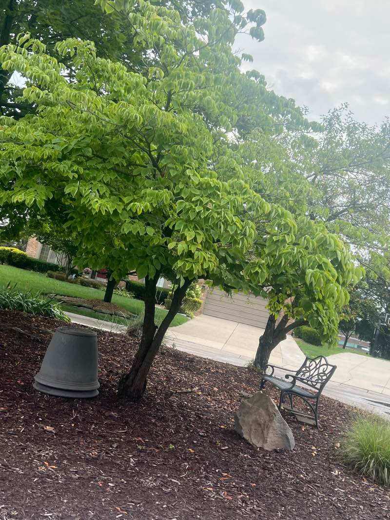 walking near me in Bristol Park in autumn