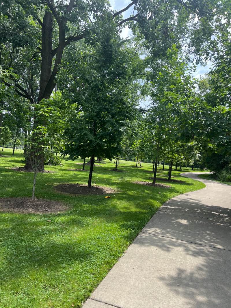 walking near me in Brookfarm Park in autumn