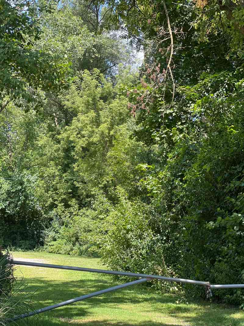 walking near me in Hill 'N Dale Park in autumn