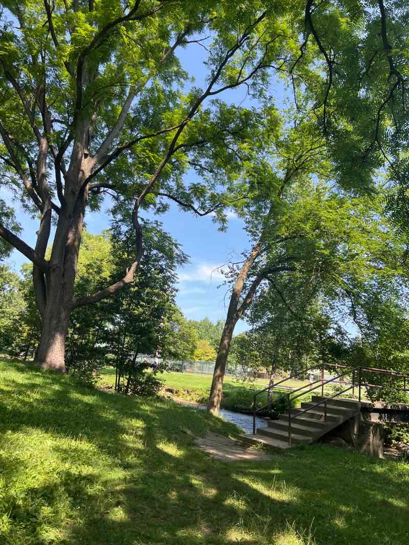 walking near me in Shiawassee Park in summer