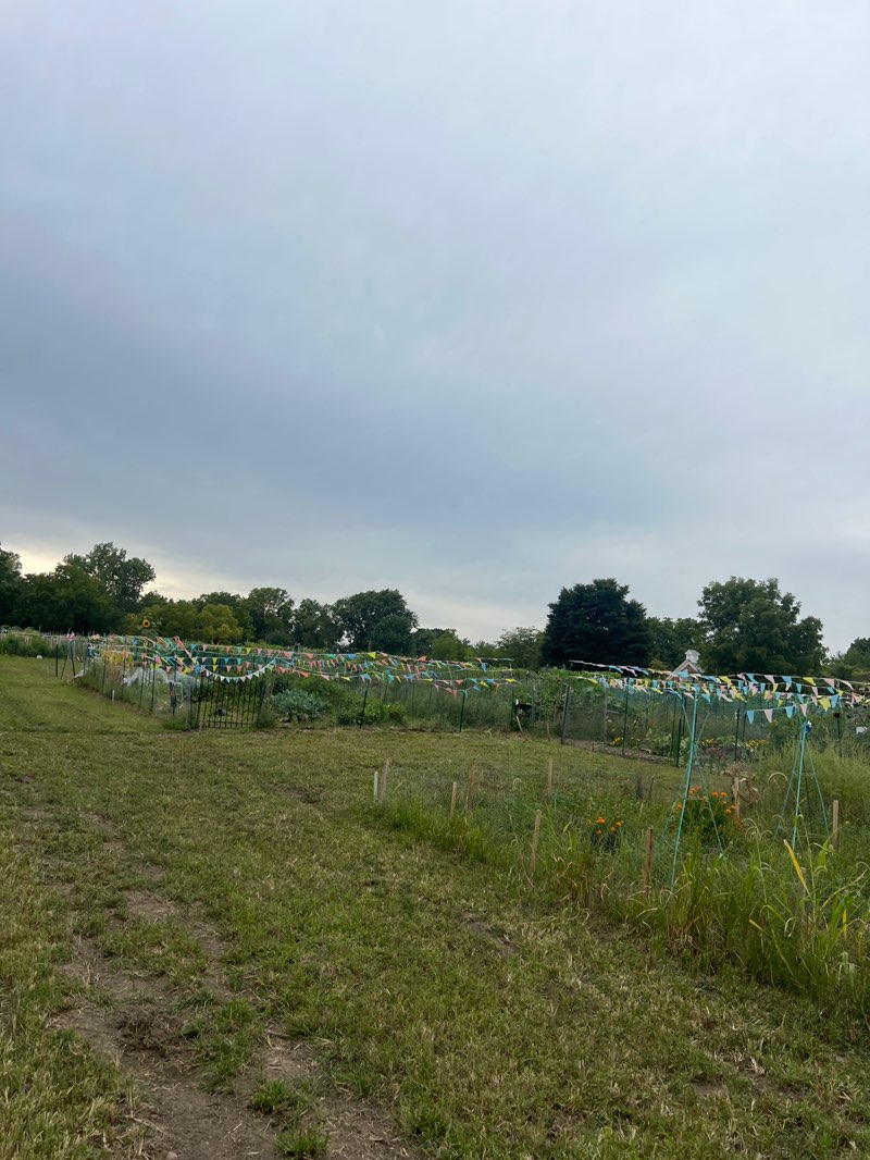 walking near me in Greenmead Historical Park in summer