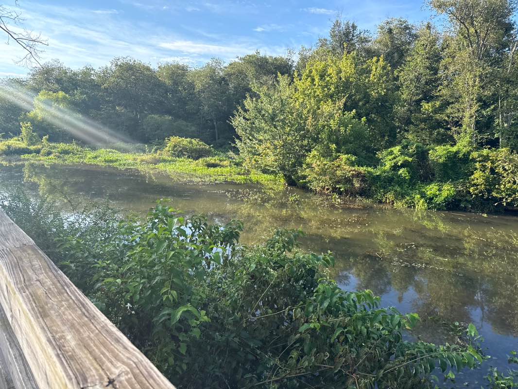 walking near me in Chattahoochee Nature Center in autumn