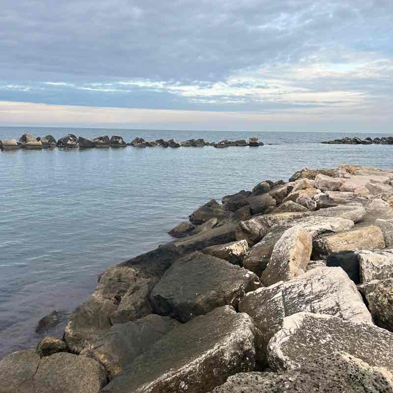 Sonia66🎶💙🎶 post 1