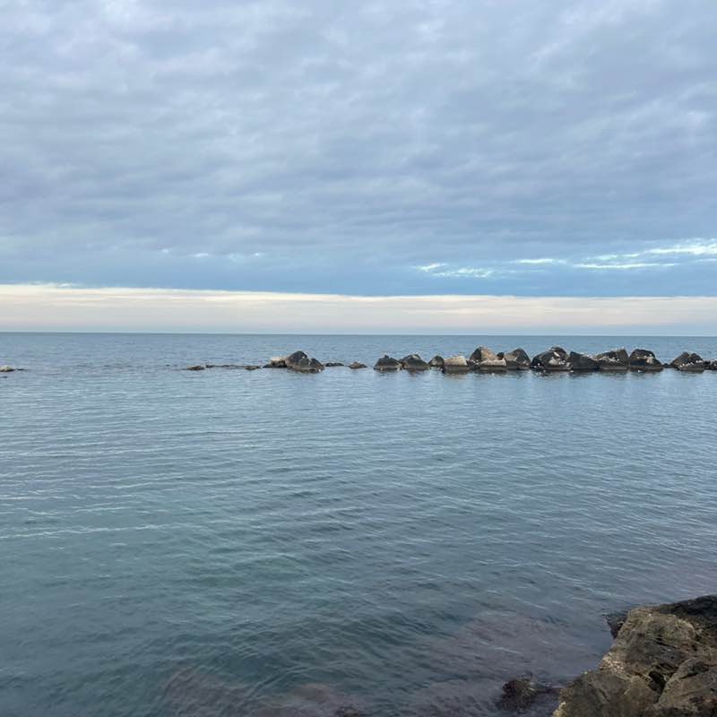 Sonia66🎶💙🎶 post 2