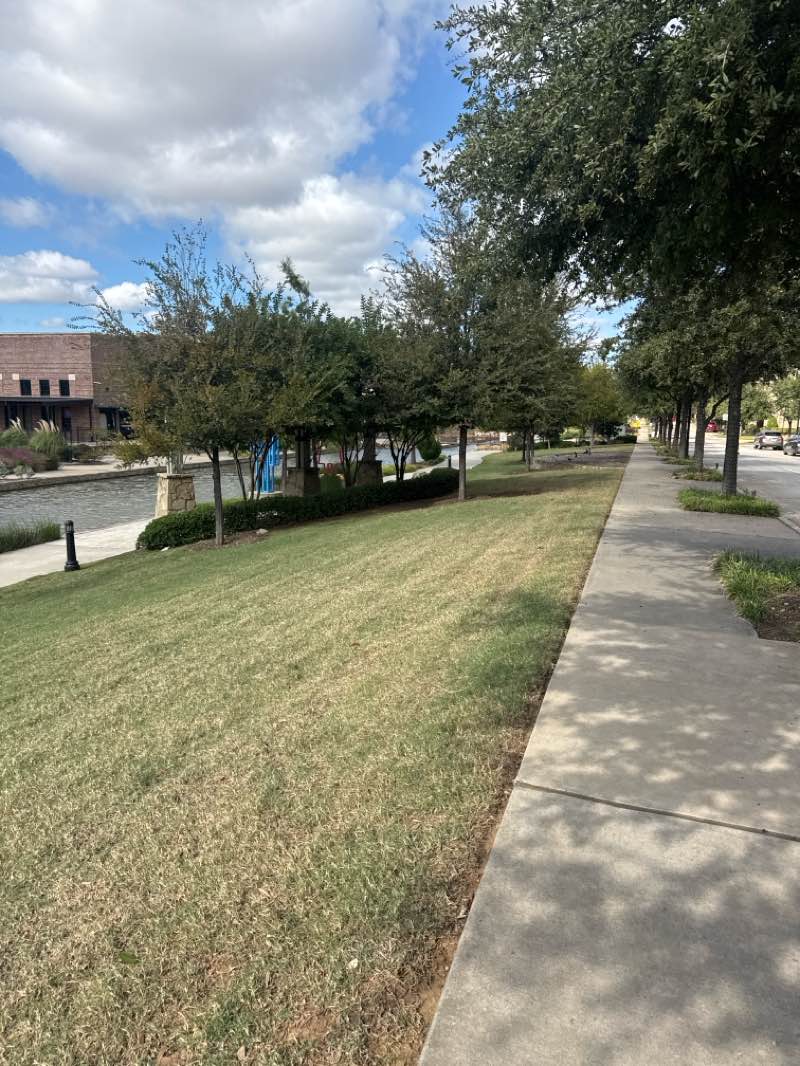 walking near me in Timber Trails Park in autumn