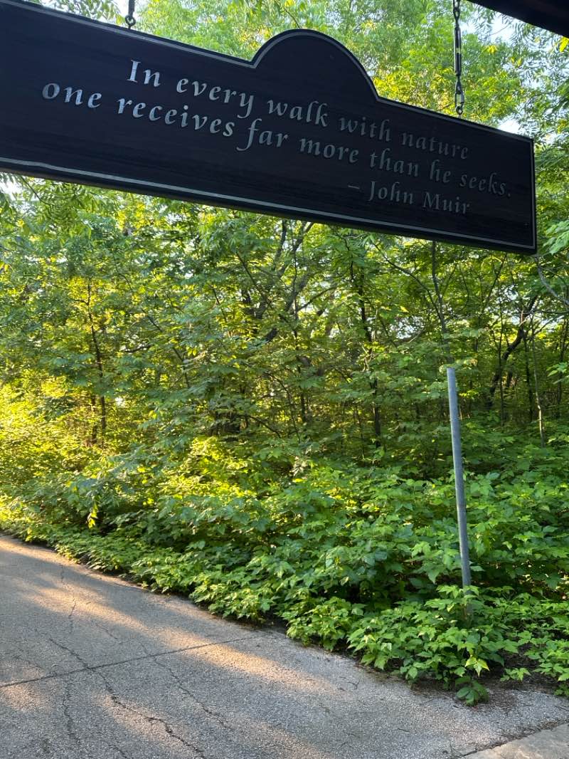 walking near me in Parr Park in spring