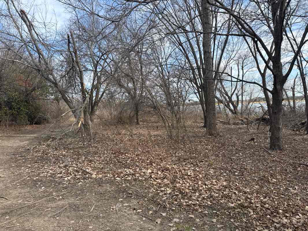 walking near me in Cottonwood Park in winter