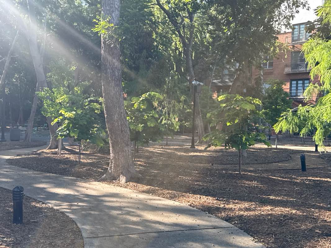 walking near me in Beckert Park in summer