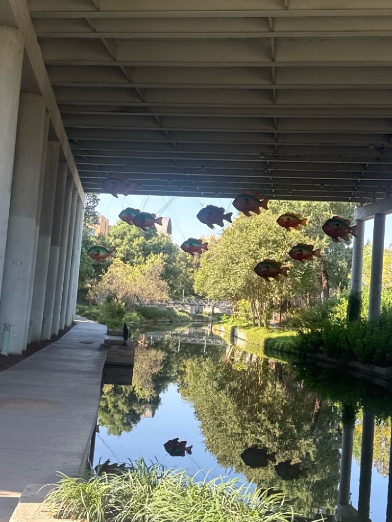 walking near me in Riverwalk Museum Reach in summer