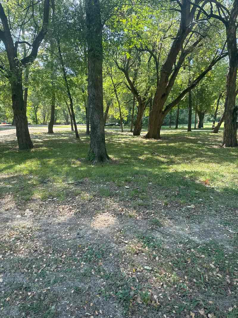 walking near me in Wilson Creek in autumn
