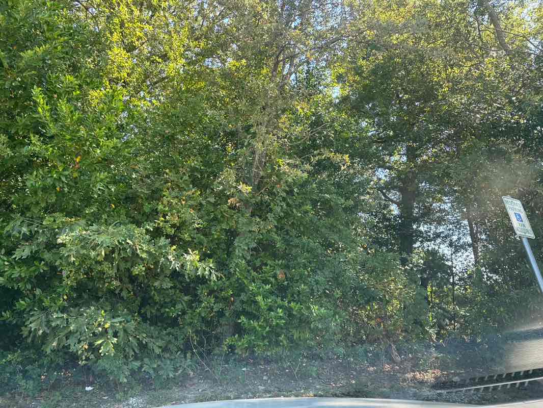 walking near me in Gassaway Park in autumn