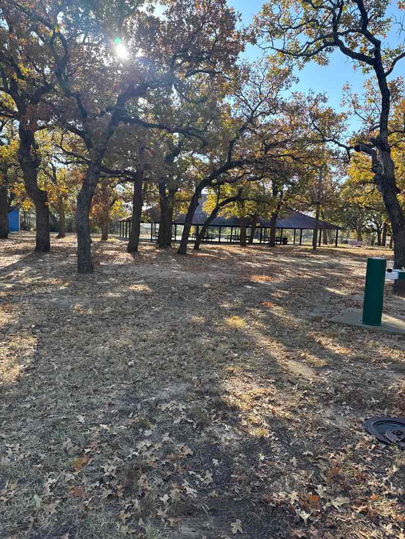 walking near me in Meyers Park in autumn