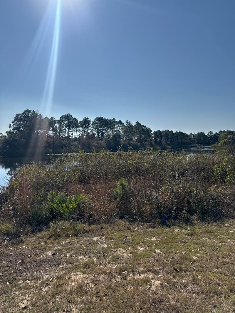 walking near me in Aaron Bessant Park in winter