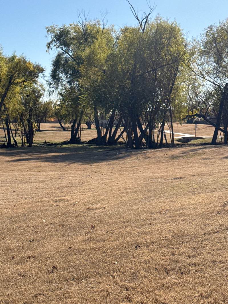 walking near me in Crawford Farms Park in winter