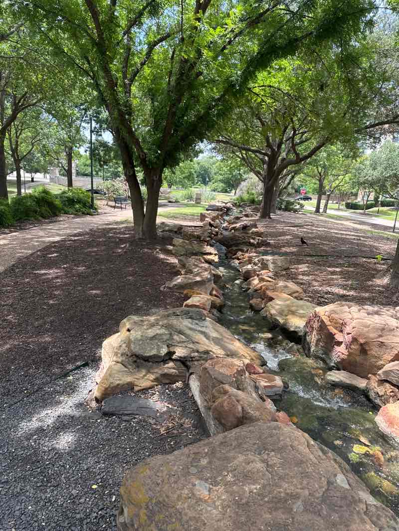 walking near me in Central Park in summer