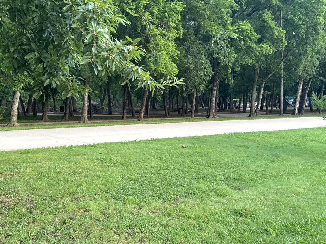 walking near me in Bonnie Wenk Park in summer