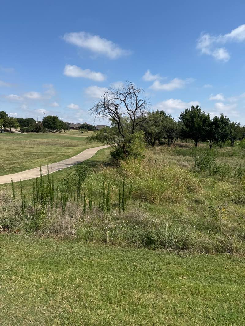 walking near me in Sinclair Park in autumn