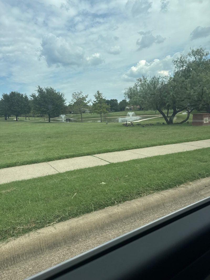 walking near me in Duck Pond Park in autumn