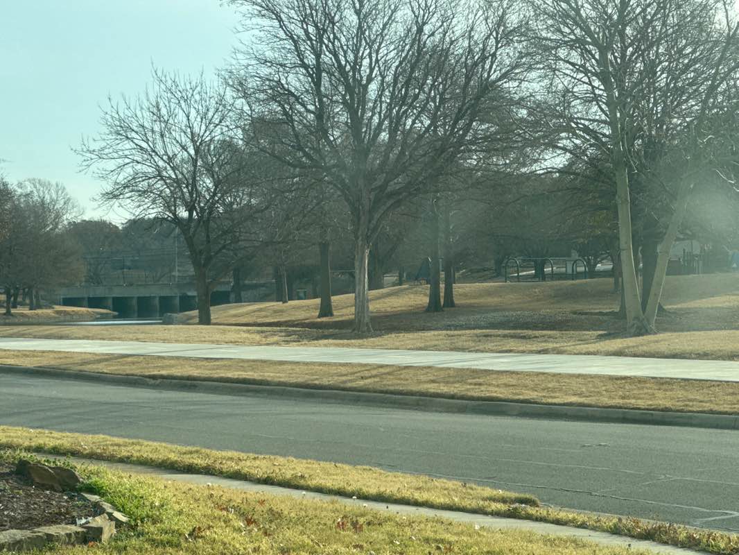 walking near me in Rawhide Park in winter