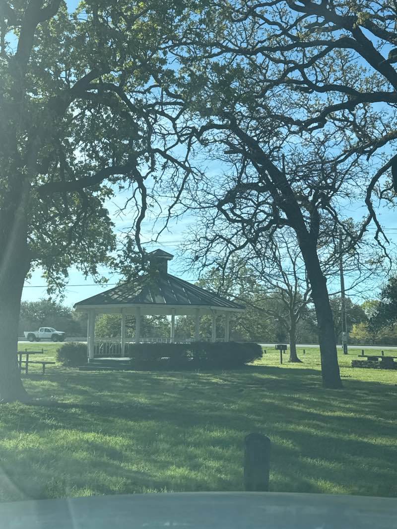 walking near me in Lions Club Park in spring