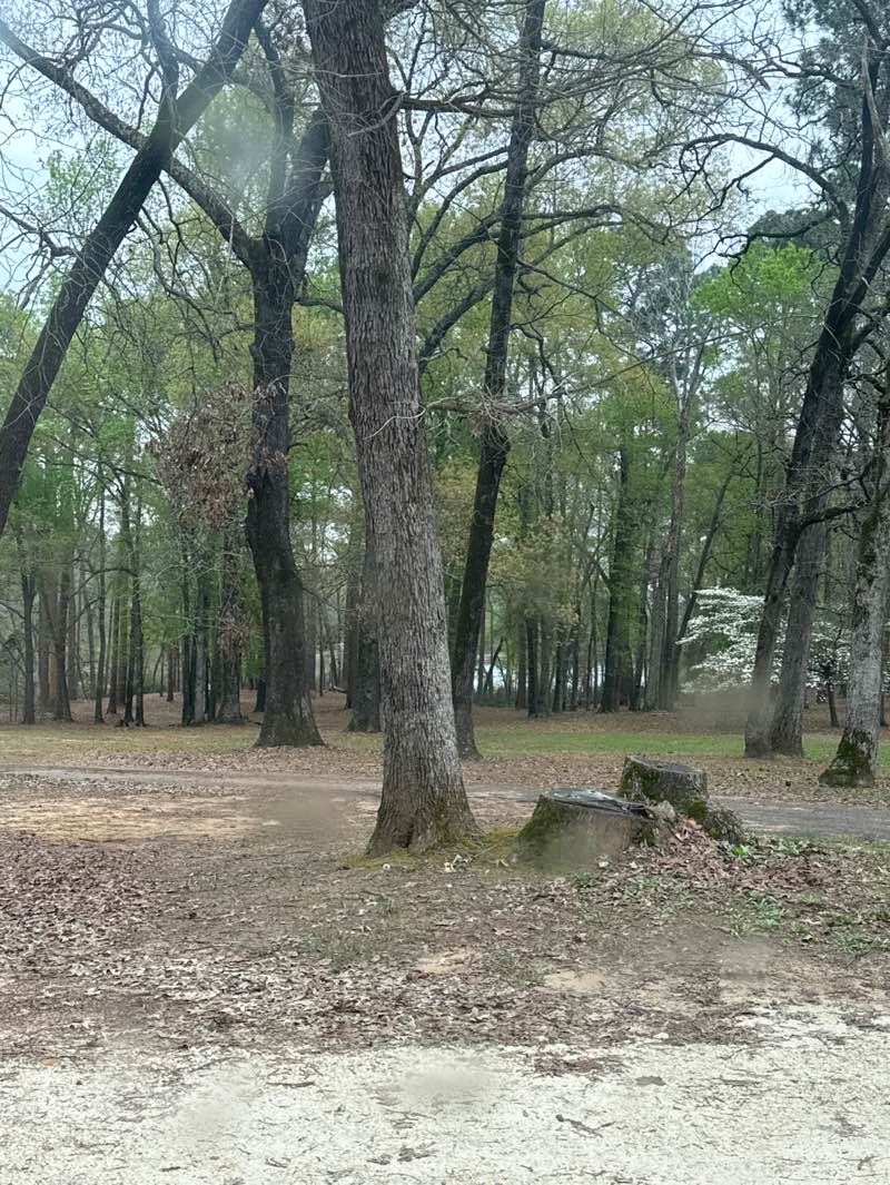 walking near me in City Lake Park in spring
