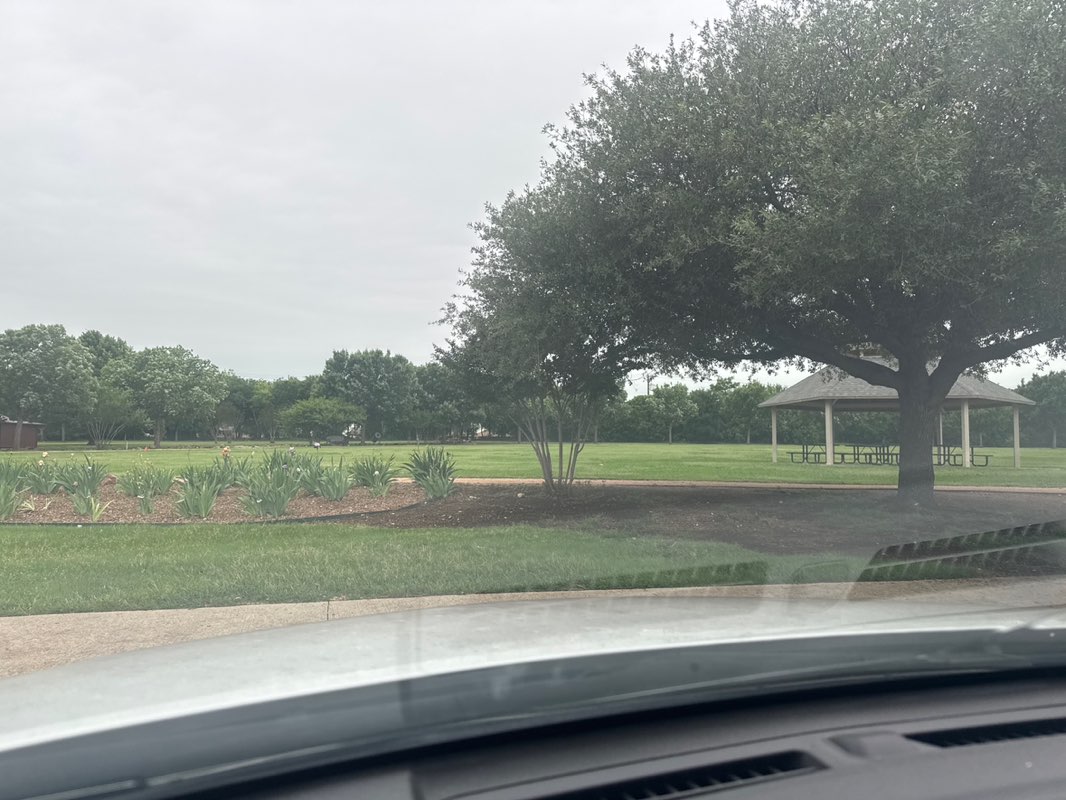 walking near me in McGregor Park in spring