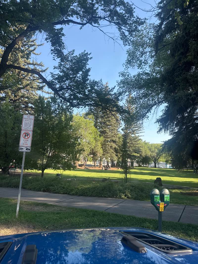 walking near me in Buckley Park in summer