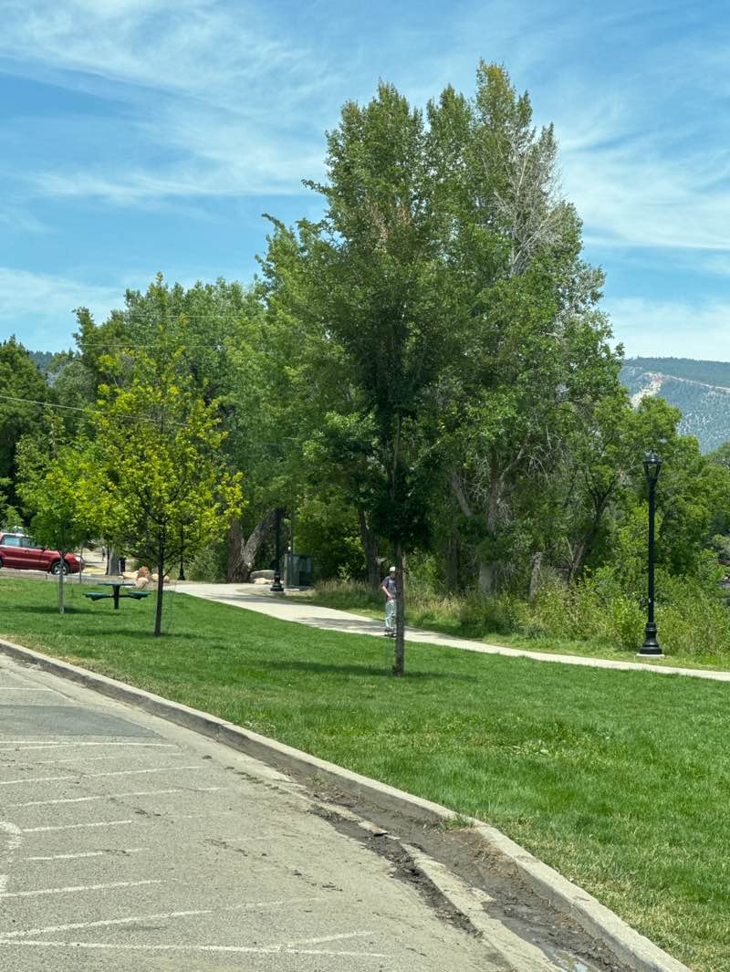 walking near me in Schneider Park in summer